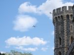 windsor_09_image10.jpg